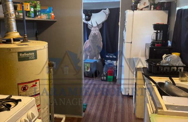 613 East Bradley Street