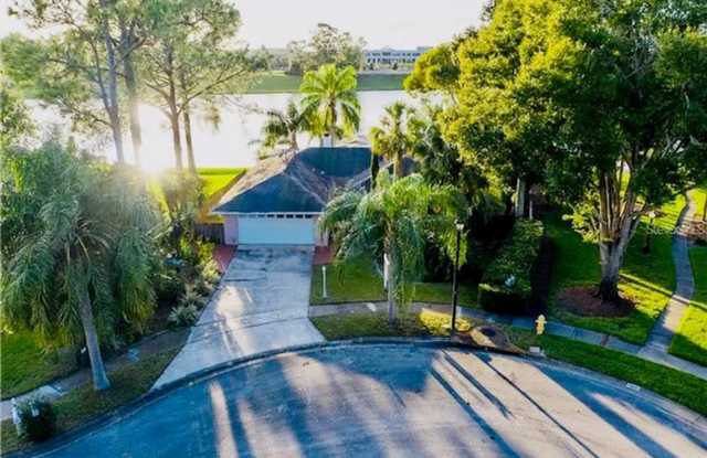 3/2 with POOL on LAKE with private dock! Fully furnished! AVALIABLE NOW! photos photos