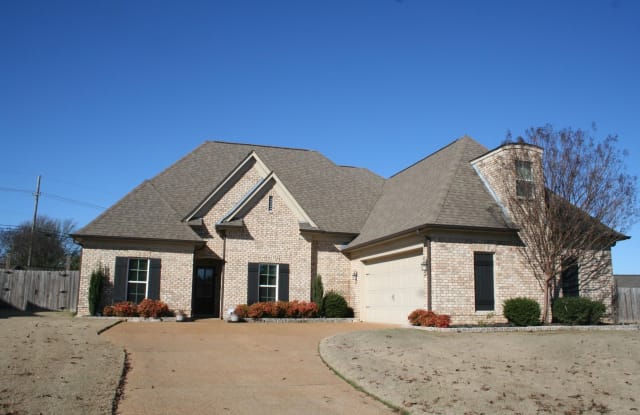 3036 RASPBERRY RED - 3036 Raspberry Red Cove, Southaven, MS 38672