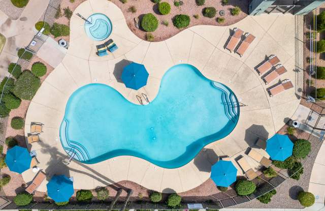 Photo of Palm Court