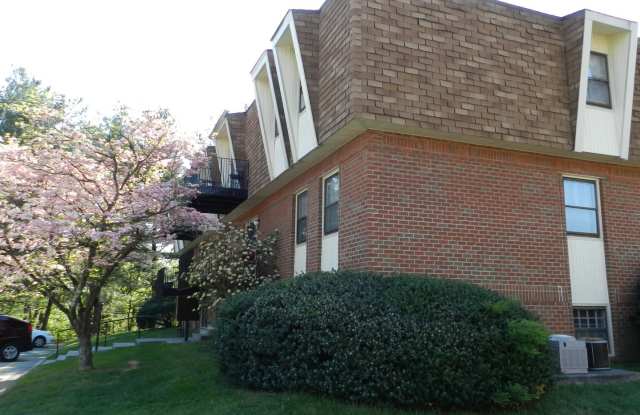 3501 Normandy Lane