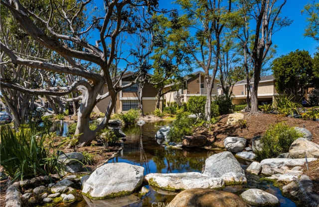 204 Pineview