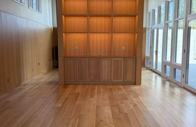 Photo of Silver Maple Stunning