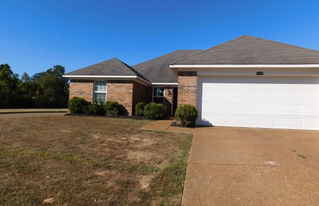 4105 Chelsea Wood Cove - 4105 Chelsea Wood Cove, Olive Branch, MS 38654