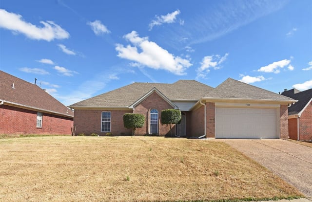 5266 Seahorse Dr - 5266 Sea Horse Dr, Shelby County, TN 38141