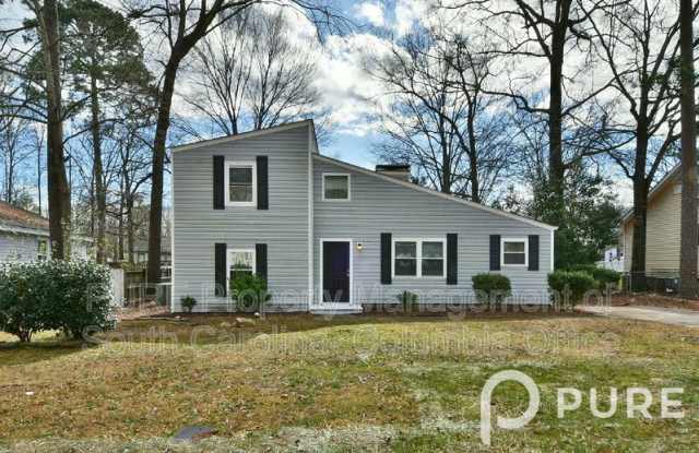 155 Minehead Road - 155 Minehead Road, Irmo, SC 29063