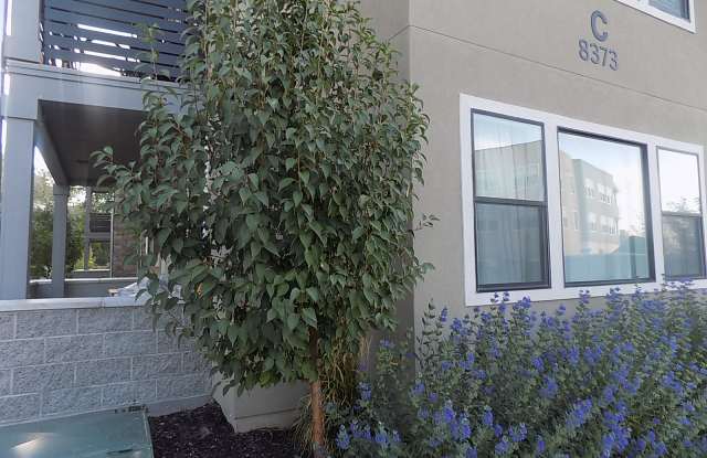 8373 S Iris Lumi Ln #102 - 1