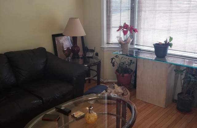 12197 CINNAMON Street