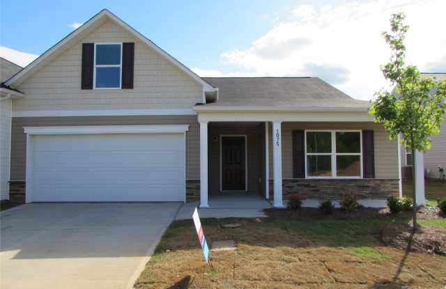 1075 Silvertrace Drive - 1075 Silvertrace Drive, Rowan County, NC 28144