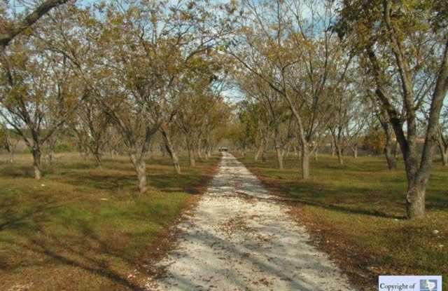 Photo of BIG PRICE DROP!! /// RIVER FRONT CABIN AVAILABLE!!