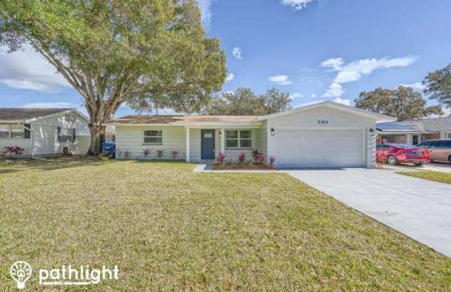 230 Tralee Street - 230 Tralee Street, Largo, FL 33770