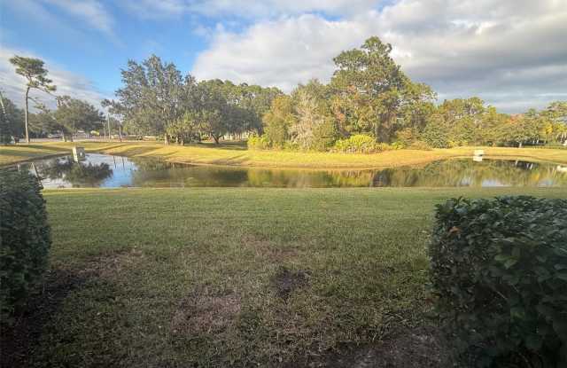 10107 WILLOW GROVE COURT