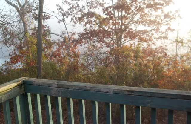 Photo of Branson MO 2 bed / 2 bath loft style condo with Lake Taneycomo view!