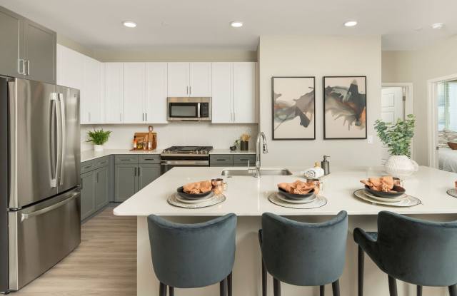 Photo of Olympus Chandler at the Park