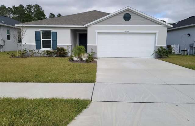 16655 CENTIPEDE STREET - 16655 Centipede Street, Four Corners, FL 34714