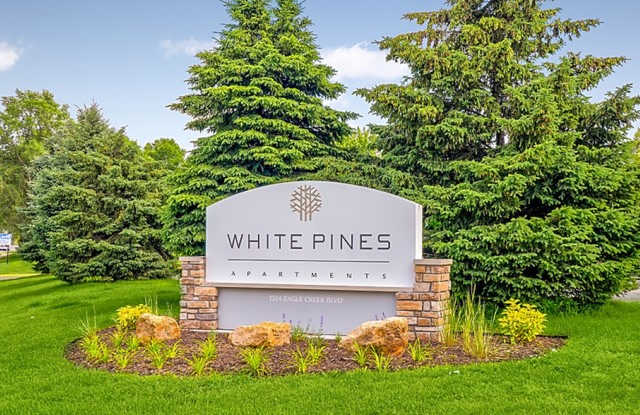 Photo of White Pines