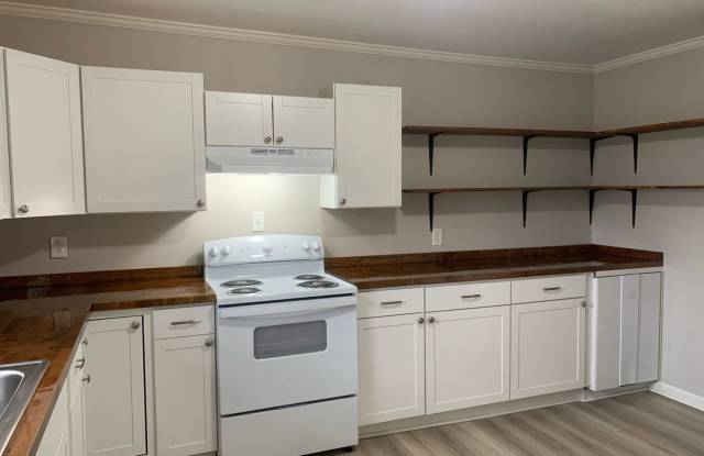 Now Leasing: First Month Free & No Deposit! Two Bedroom Duplex Apartment Near Southside/516