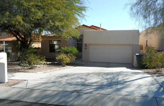 3217 Flowering Cactus Court