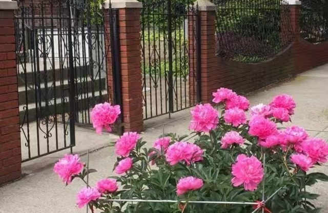 Photo of 66 Sharon Street unit: 1