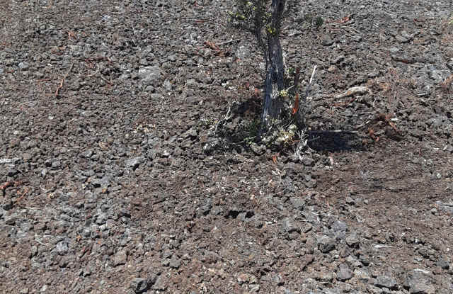 Photo of 92-9168 Tiki Lane