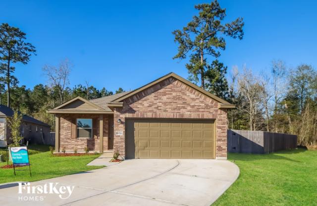 15700 Ty Cobb Court - 15700 Ty Cobb Court, Montgomery County, TX 77372