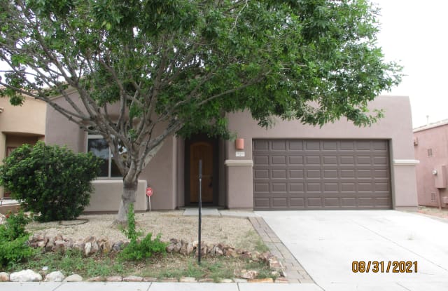 10382 S Painted Mare Drive - 10382 South Pointed Mare Drive, Vail, AZ 85641