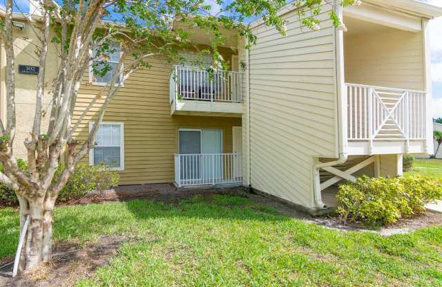 Ground Floor 1 Bedroom 1 Bath for Rent in Brandon, FL
