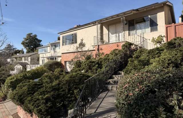 Photo of 242 Sandringham Road