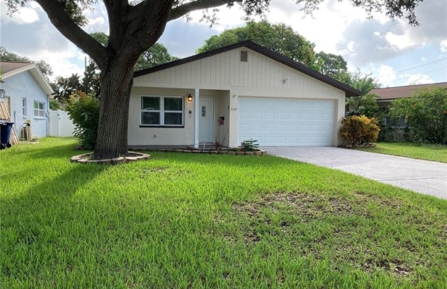 1319 35TH STREET N - 1319 35th Street North, St. Petersburg, FL 33713