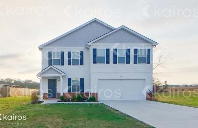 217 Sky Hawk Lane