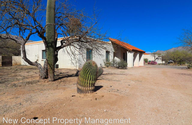 11251 E Placita Molino - 11251 Placita Molino, Tanque Verde, AZ 85749