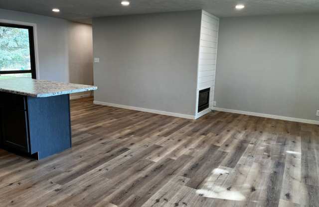 3 Bed/1 Bath Ranch for rent in Brandon!