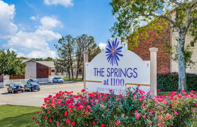 Photo of The Springs at 1100