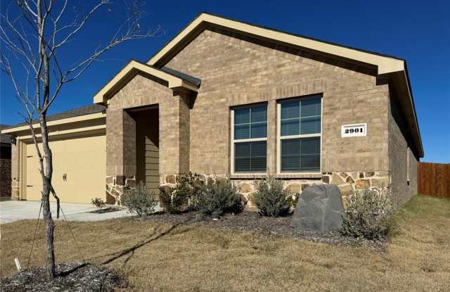 2901 Jasmine Drive