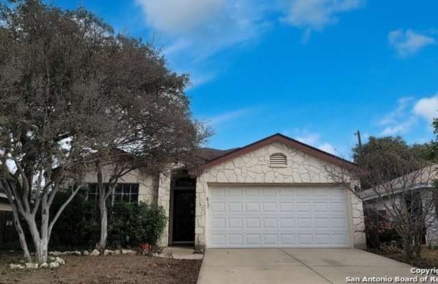 10711 CAT MTN - 10711 Cat Mountain, San Antonio, TX 78251