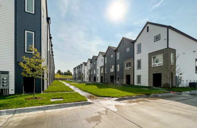 Photo of Juniper Rows at Deer Creek
