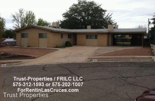 1909 Penny Pl. - 1909 Penny Place, Las Cruces, NM 88001