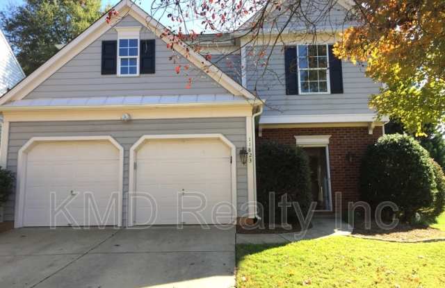 11823 Golspie Court - 11823 Golspie Court, Charlotte, NC 28277