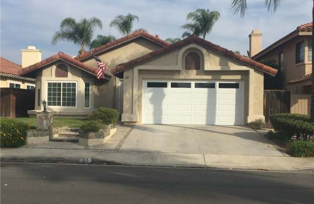 Photo of 38 Sarracenia