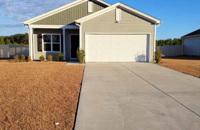 Coastal Point - 344 Angler Court, Horry County, SC 29526