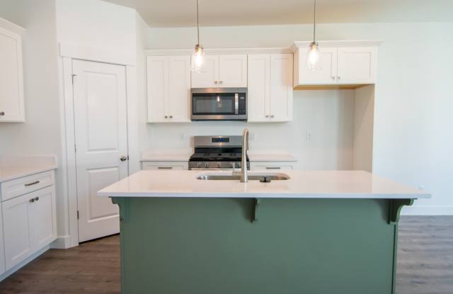$1000 off your first month's rent! Brand New 3-Bed Saratoga Springs Home w/ Unfinished Basement!!