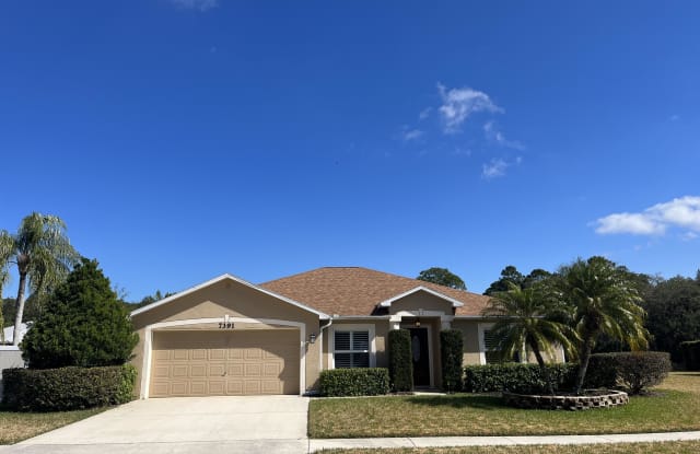 7391 Joshua Place - 7391 Joshua Place, Brevard County, FL 32927