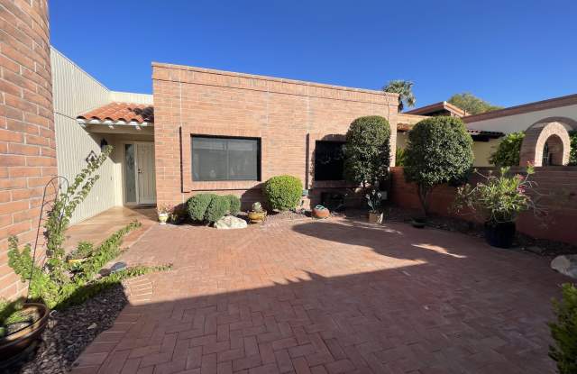 3841 South Placita De La Moneda - 1