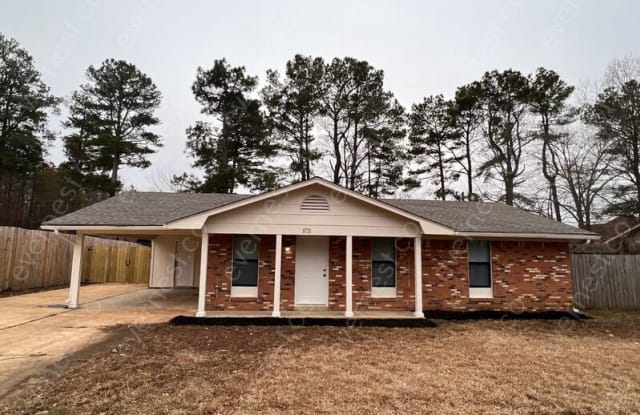 10731 Chateau Rd. - 10731 Chateau Drive, Olive Branch, MS 38654