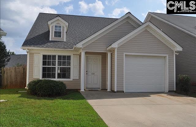 128 MEROWEY Court - 128 Merowey Court, Chapin, SC 29036