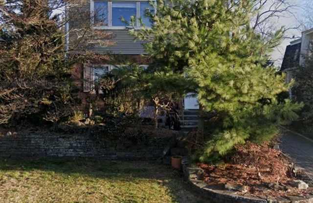 17 Bogert Street