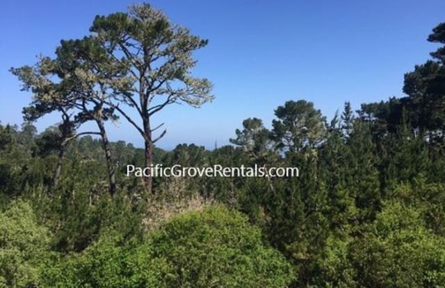 33 Shepherds Knoll Road - 33 Shepherds Knoll Road, Monterey, CA 93940