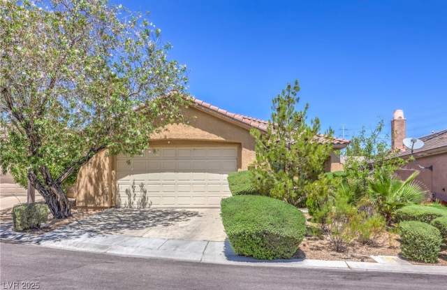 10964 Snow Cloud Court