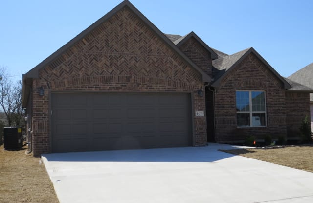 107 Prairie Meadow Ln - 107 Prairie Meadow Ln, Grayson County, TX 75076