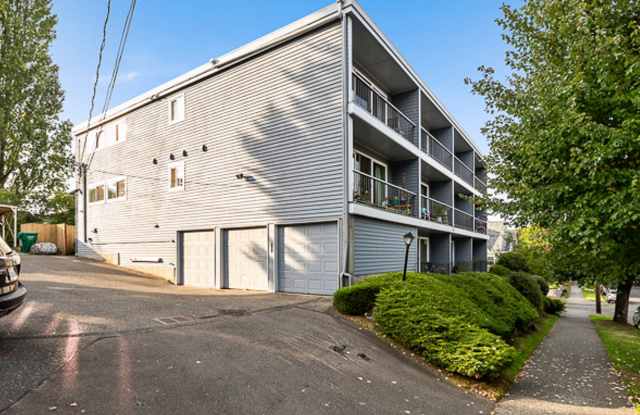 Leschi Lakeview